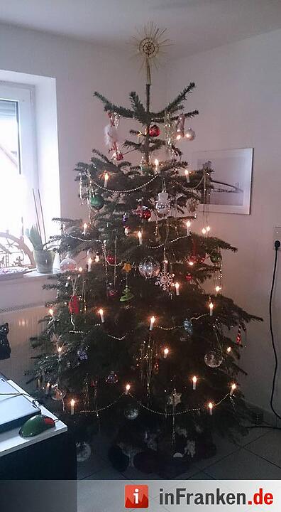 Weihnachten in Franken: Die Christbäume unserer Leser