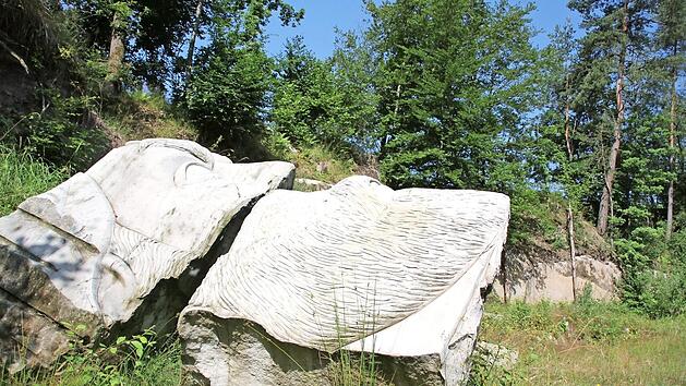 Ein bekanntes Gesicht in Breitbrunn: Der in Sandstein gehauene "Pr&auml;sident Snow" aus der "Tribute von Panem"-Reihe. Ein Filmteam nutzte den Breitbrunner Steinbruch f&uuml;r Promotionszwecke. Foto: Andreas L&ouml;sch