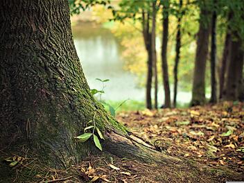 Lohr: Vermisster 80-J&auml;hriger nach gro&szlig; angelegter Suche der Polizei tot aufgefunden