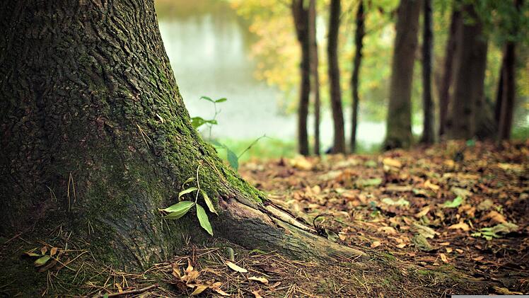 Lohr: Vermisster 80-J&auml;hriger nach gro&szlig; angelegter Suche der Polizei tot aufgefunden