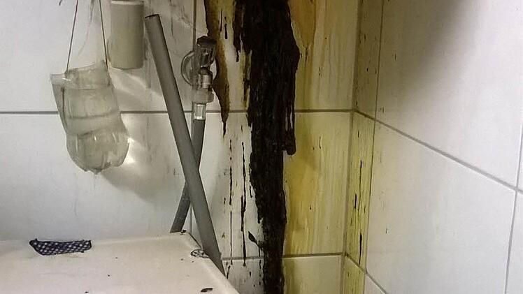 Durch den Schmorbrand im Boiler trat der Dämmstoff aus und lief an den Fliesen des Bads herunter. Auch eine größere Menge Wasser trat aus.  Foto: Friedwald Schedel
