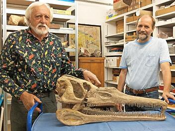 Peter Schumann (links) und Eckhard Mönnig vom Naturkunde-Museum Coburg mit dem Schädel von Coburgosochus Goeckeli im Depot des Museums. Die Schnauze mit den spitzen Zähnen wurde von Menschenhand rekonstruiert; Geborgen werden konnte in Untersiemau 1952 nur der Schädel (unten). Fotos: Simone Bastian, Naturkundemuseum Coburg