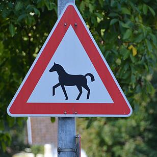 07.10.2015  Fotoreportage Sonnefeld