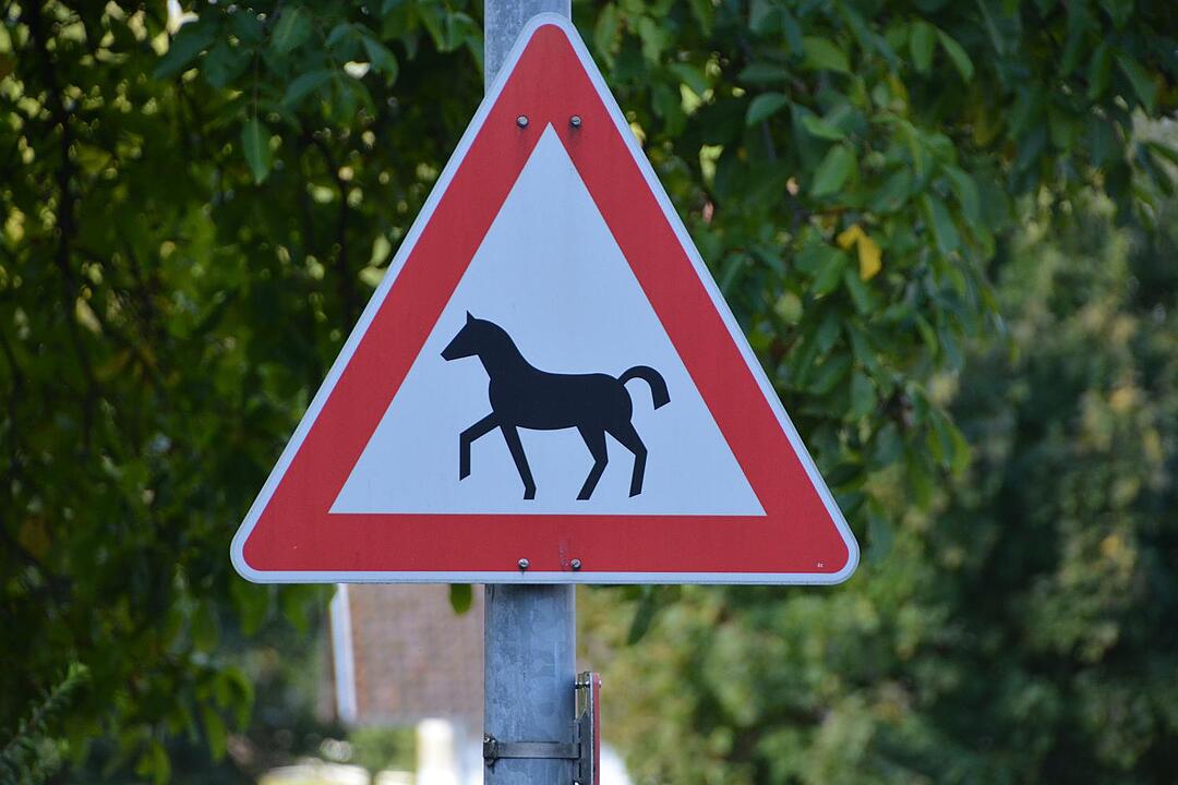 07.10.2015  Fotoreportage Sonnefeld