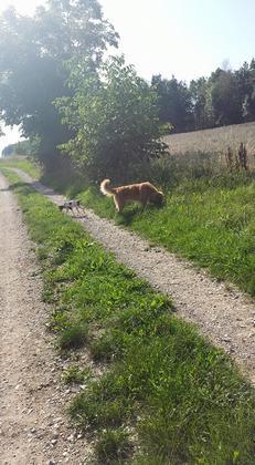 Foto: Ulrike Melber-Greul