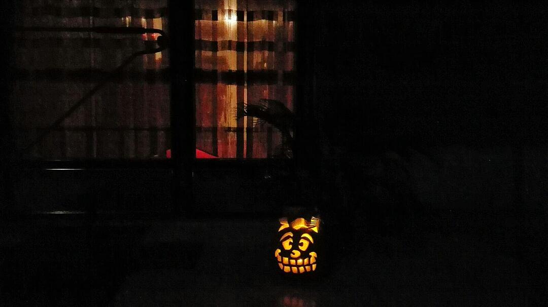 Leserbilder zu Halloween II