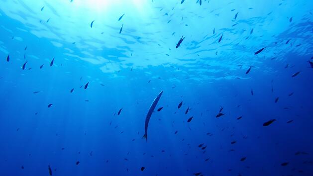 UN-Hochseeschutzabkommen