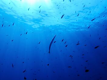 UN-Hochseeschutzabkommen