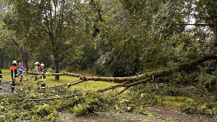 Umgest&uuml;rzter Baum nach Unwetter mit Feuerwehr