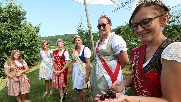 Kirschenk&ouml;nigin Sandra Grau (r.) erkl&auml;rt ihren Kolleginnen vor Ort den Weg der Kirsche vom Anbau bis zur Vermarktung.  Foto: Andreas Hofbauer