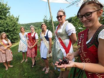 Kirschenk&ouml;nigin Sandra Grau (r.) erkl&auml;rt ihren Kolleginnen vor Ort den Weg der Kirsche vom Anbau bis zur Vermarktung.  Foto: Andreas Hofbauer