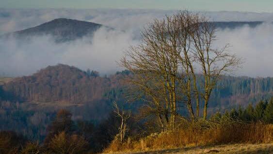 Hochnebel im Sinntal. In den Schwarzen Bergen ist das Phänomen gut zwischen Schindküppel und Lösershag zu beobachten. Foto: Jürgen Hüfner