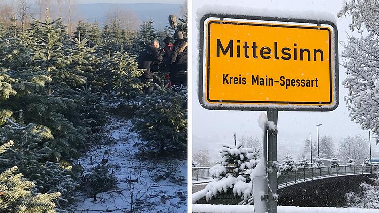Christbaumdorf Mittelsinn