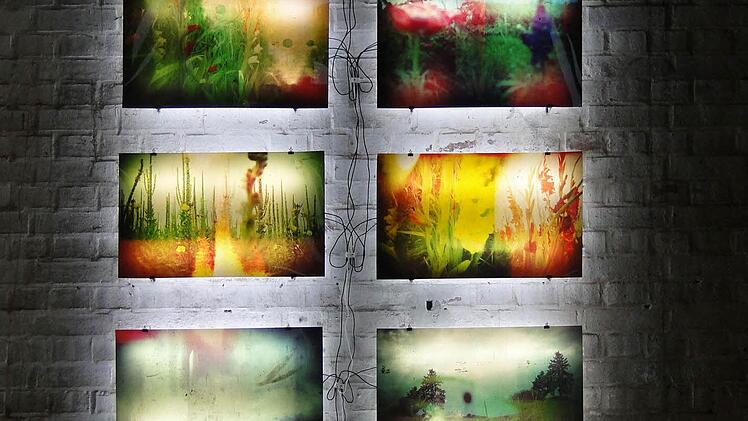 Die Wandinstallation "Lighting Garden" im Hexenturm besteht aus zehn Fotografien, die durchleuchtet werden. Die Fotos sind mit einer billig in China produzierten Mittelformatkamera aufgenommen - eine Kamera mit Plastiklinse, die nur zwei Zeit-Blendeneinstellungen kennt und sensibel auf Lichteinfälle reagiert. Nach der Entwicklungen wurden die Negative lange Zeit der Witterung ausgesetzt und anschließend gescannt.