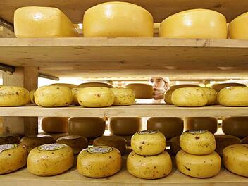 Bessere Exportchancen, etwa für Käse, erhoffen sich die Bauern durch das Freihandelsabkommen TTIP.  Foto: Roland Weihrauch/dpa