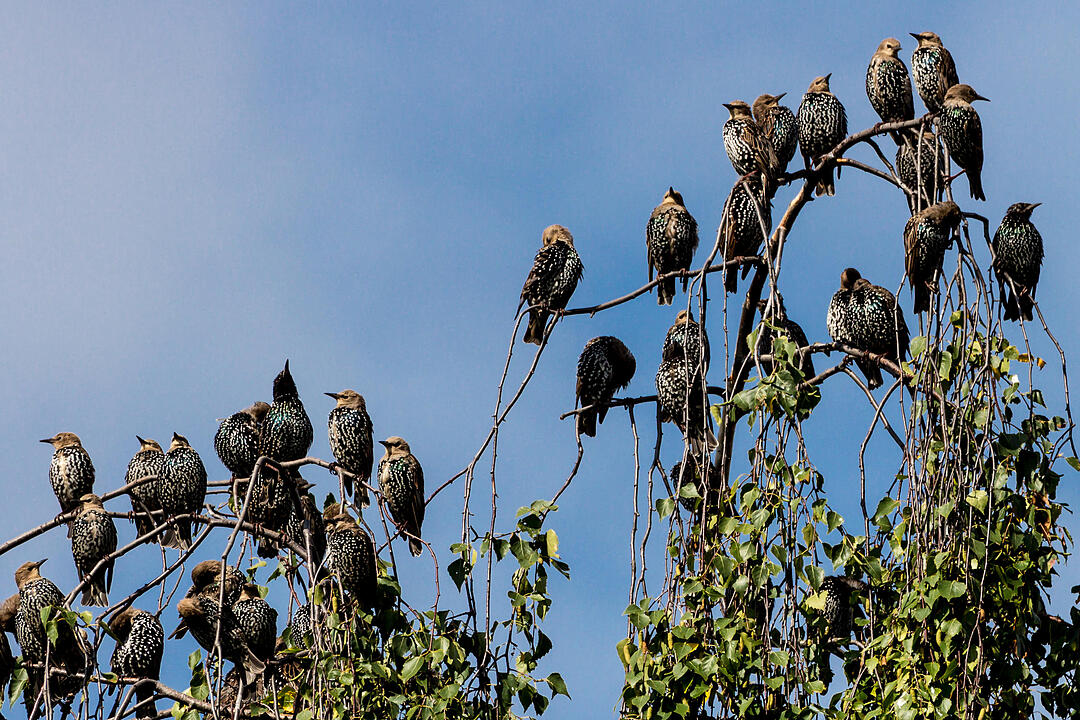 Fotos Konrad Thomann