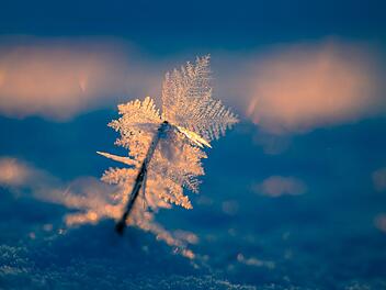Eisiger Wintermorgen