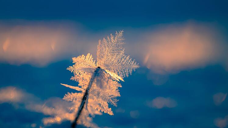 Eisiger Wintermorgen