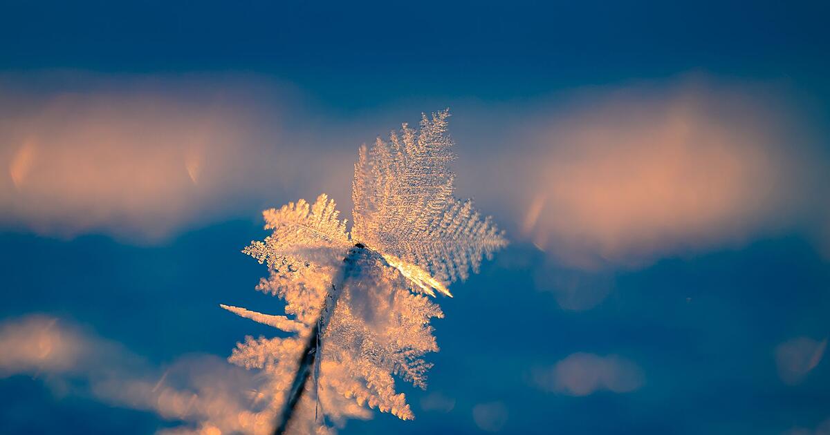 Wohnungslosenhilfe-Lebensgefahr-f-r-Obdachlose-durch-K-lte