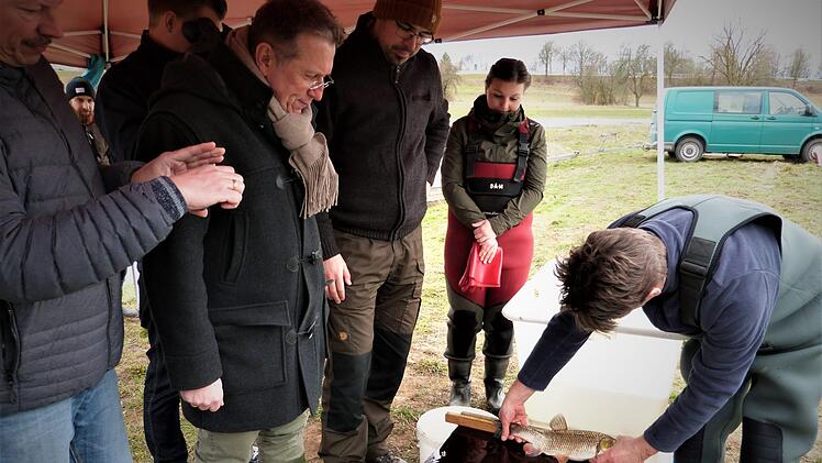Mit einem vernünftigen Kormoranmanagement will die Fischereiberatung des Bezirks den Fischbestand in Oberfranken sichern. Werner Reißaus