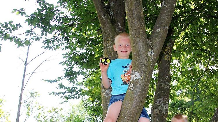 Steine suchen ist ein tägliches kleines Abenteuer für Jannik, Jenny und Moritz. Auf dem Baum, auf dem die Brüder sitzen, haben sie gleich zwei Steine entdeckt.  Fotos: Diana Fuchs (3)/ Jenny Heckel (1)