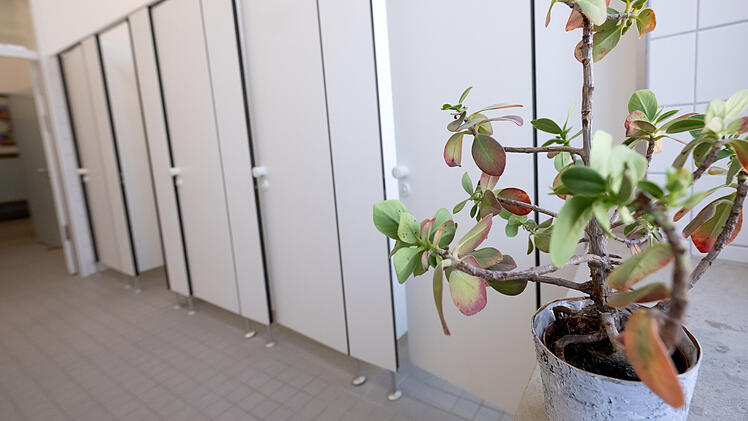 M&uuml;nchen: Alles andere als stinkig - Grundschule in Bayern f&uuml;r Toiletten ausgezeichnet