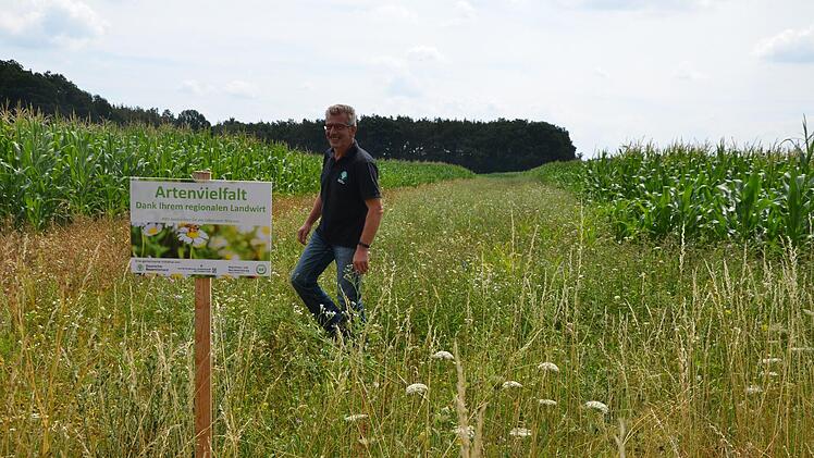 Rudolf Groß mit Hinweisschild auf dem Blühstreifen eines Maisfeldes