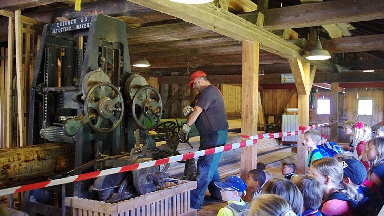 Josef Pfadenhauer setzt die Säge in Gang. Foto: Heike Schülein