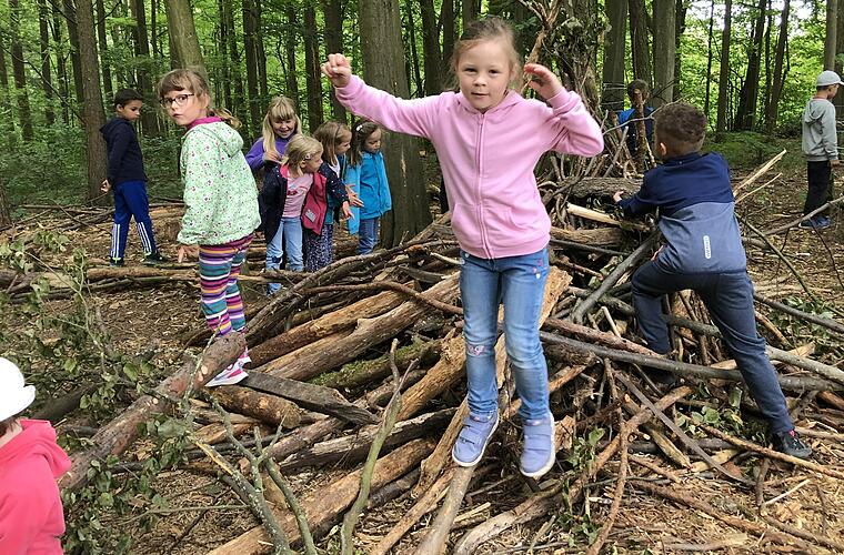 Äste statt Lego: Das sagen die Iphöfer Kinder zu ihrem neuen Waldareal - Vimarsana News