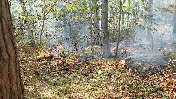 Waldbrand in Bamberg - Feuerwehr &uuml;ber Stunden im Einsatz