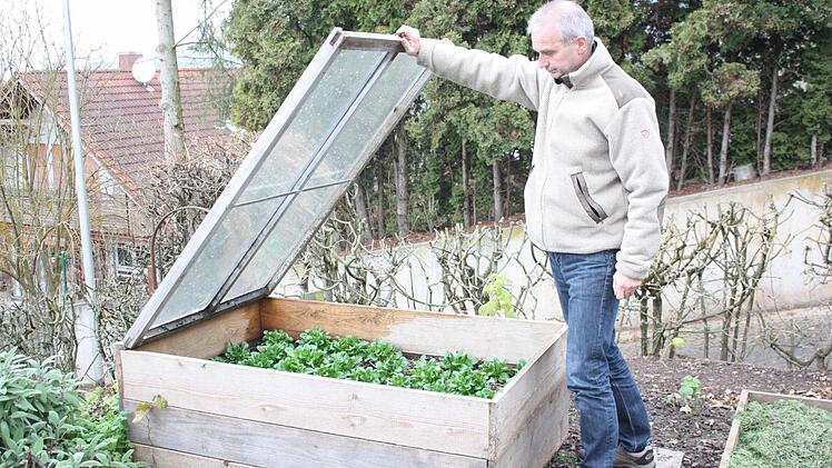 Sulzthal: Der Endiviensalat bekommt dank der Glasscheibe nicht viel vom Winter mit.  Foto: Robert Huger