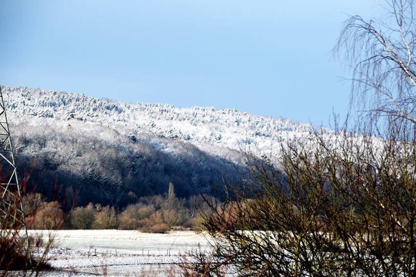 Schnee und Eis - Die schönsten Aufnahmen aus Franken