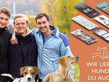 "Du hast ein Match!" - Würzburger Start-Up entwickelt App für Hundeliebhaber "Du hast ein Match!" - Würzburger Start-Up entwickelt App für Hundeliebhaber