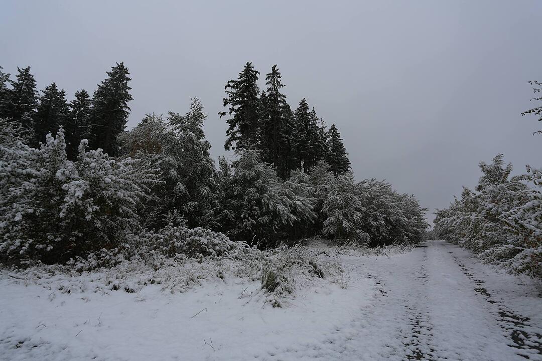 Erster Schneefall in Oberfranken