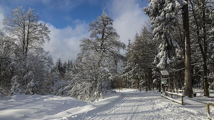 Winterliche Familientouren auf präparierten Wegen kannst du im Frankenwald erleben.