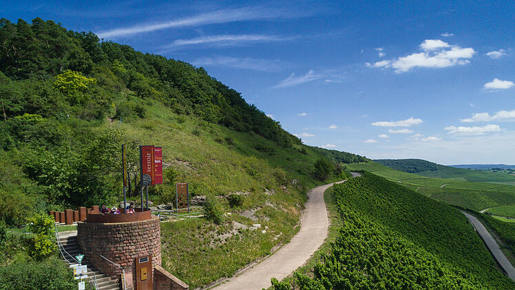 Fränkisches Weinland: terroir f bei Iphofen