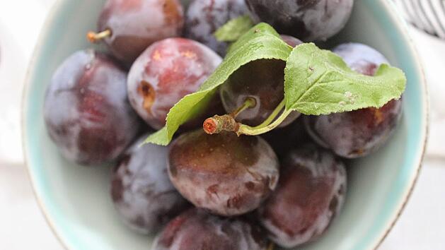 Zwetschgen sind fein - erst recht, wenn man sie mit Rotwein kombiniert!
