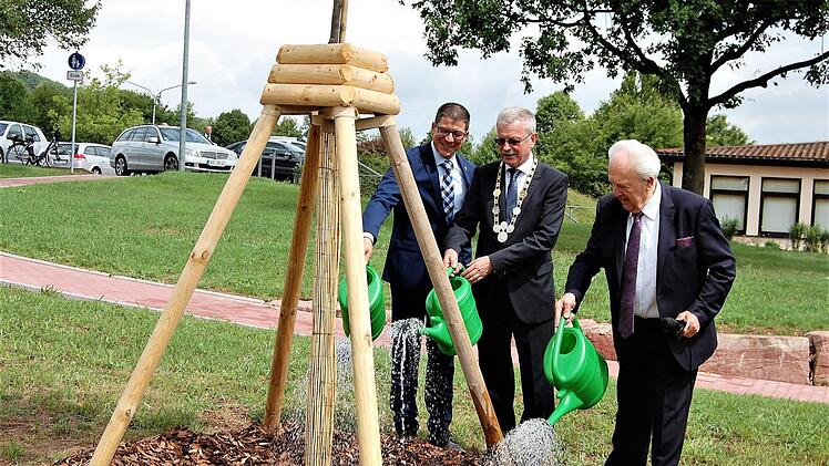 TSV-Vorsitzender Matthias Hüttl (von links), Bürgermeister Gotthard Schlereth und Altbürgermeister begießen die von Adam gestiftete junge Eiche. Foto: Sigismund von Dobschütz