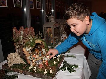 Ein morscher Baum inspirierte den dreizehnjährigen Nico Till aus Weismain zum Bau seiner Krippe.gst