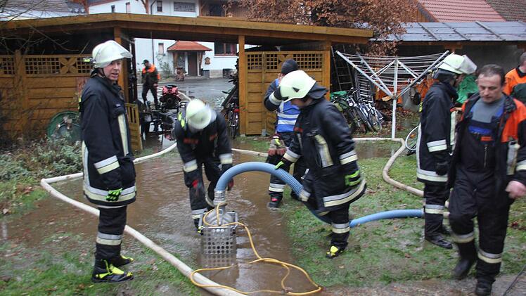 Alle Fotos: Friedwald Schedel