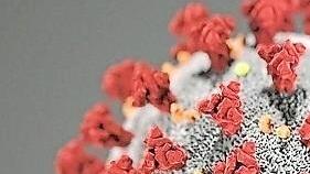 Darstellung von SARS-Cov2 , 2020