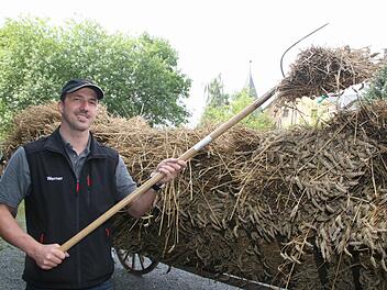Gabelweise wurden die Getreidebündel in die Dreschmaschine eingelegt.