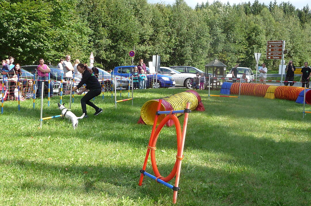 19.8.2017 Tierheimfest Kulmbach