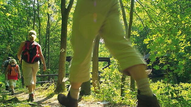 Die Heimat zu Fu&szlig; entdecken: Beim Wandermarathon erwartet die Teilnehmer eine Erlebnisreise durch den Frankenwald. Foto: Frankenwald Tourismus