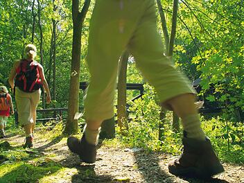 Die Heimat zu Fuß entdecken: Beim Wandermarathon erwartet die Teilnehmer eine Erlebnisreise durch den Frankenwald. Foto: Frankenwald Tourismus