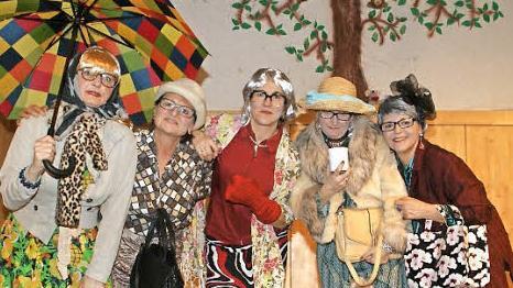 Ihr Mundwerk zeigt keine Alterserscheinungen (von links): Gabi Arnhold, Elisabeth Moser, Friederike Kraus, Anne Trunk und Gabi Kraus beim Rosenmontagsball in Unterschleichach.