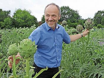Andreas Schmitt, der neue Betriebsleiter des Biogemüse-Versuchsbetriebs, im Artischockenfeld. Fotos: Barbara Herbst
