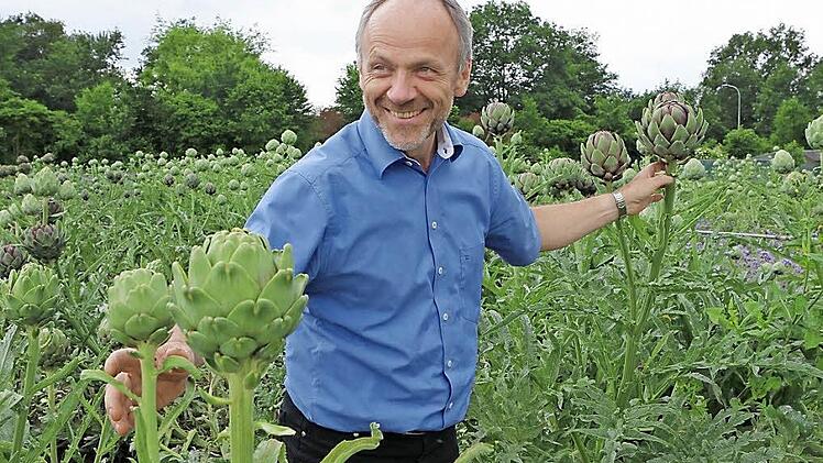 Andreas Schmitt, der neue Betriebsleiter des Biogemüse-Versuchsbetriebs, im Artischockenfeld. Fotos: Barbara Herbst