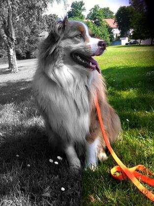 Foto: Christin Hammon