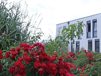 Vor dem Gebäudekomplex der Haßberg-Kliniken in Haßfurt schaut es noch rosig aus. Was die finanzielle Lage des Kommunalunternehmens betrifft, stellt sich die Situation aber ganz anders da. Fotos: Andreas Lösch